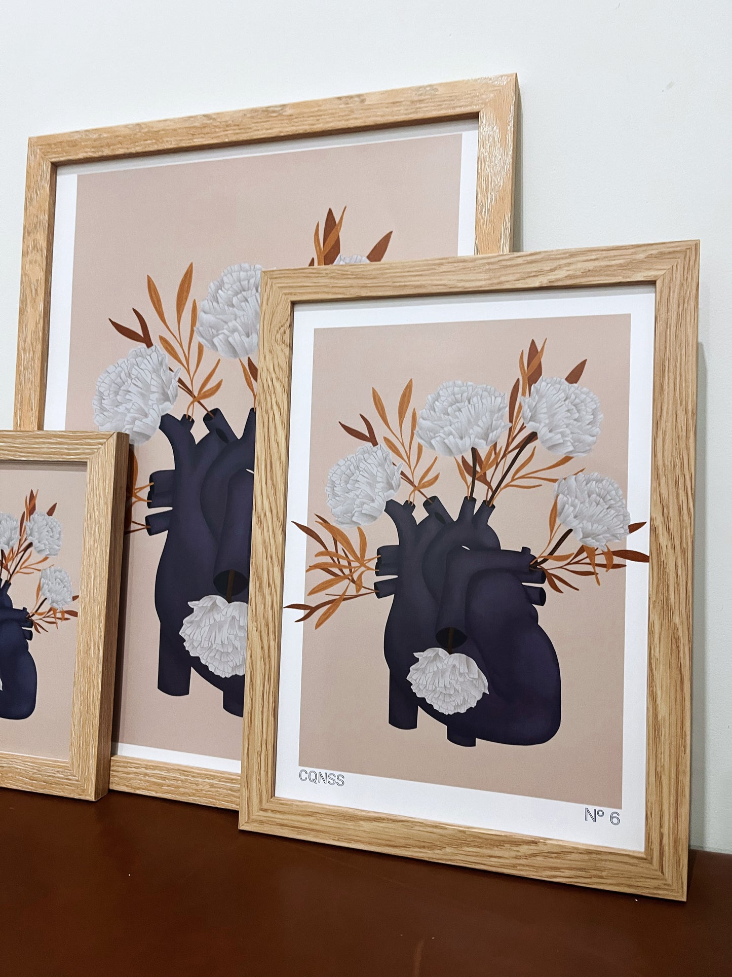 Ilustración CQNSS N6