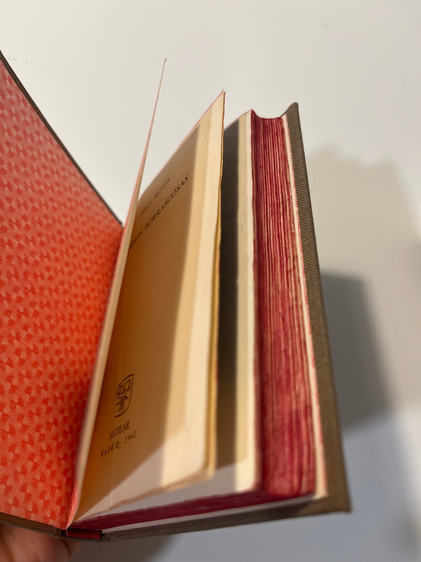 Cumbres Borrascosas de Emily Brontë – Edición de 1962 restaurada y pintada a mano