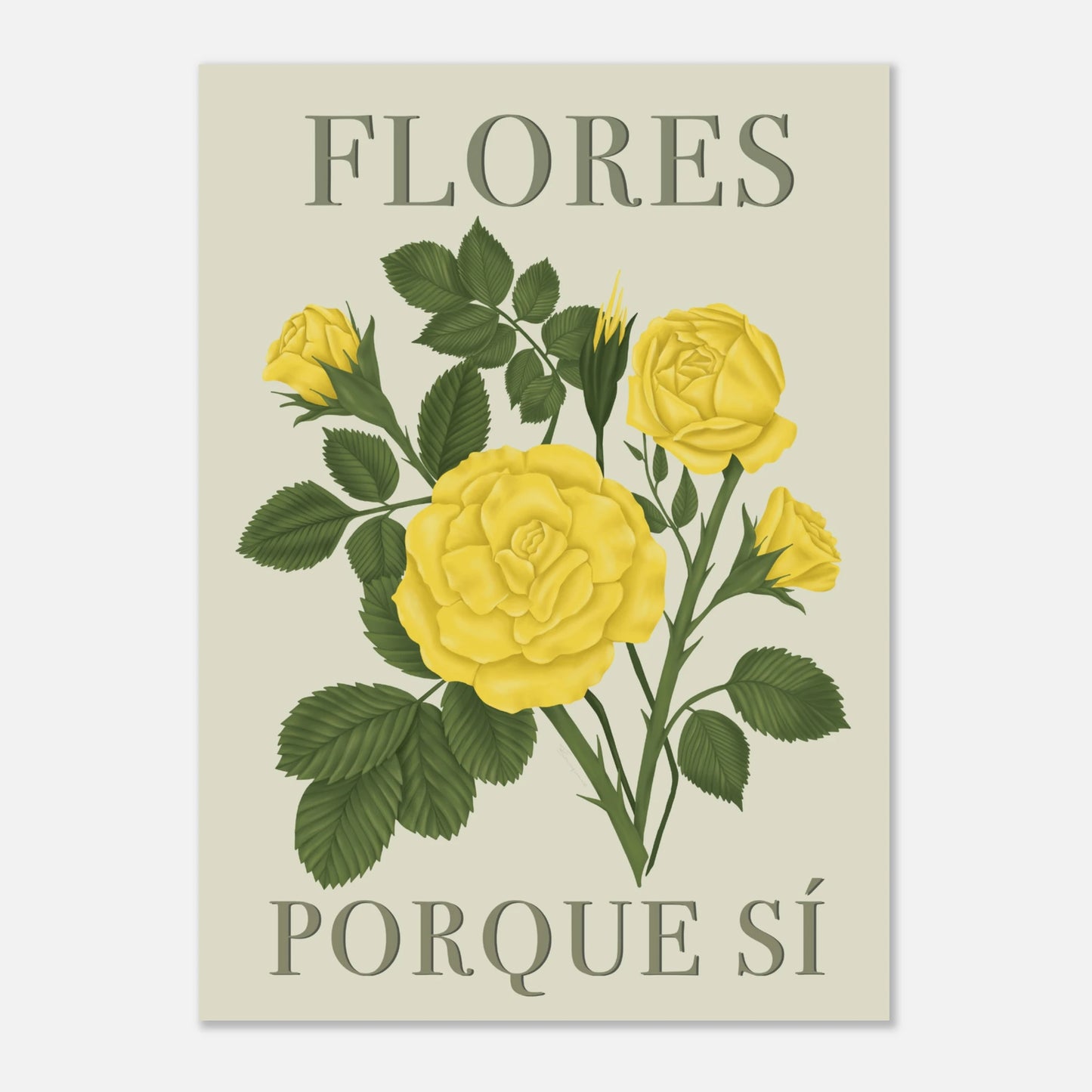 d2362d05-f96a-423a-b284-e982739620ec